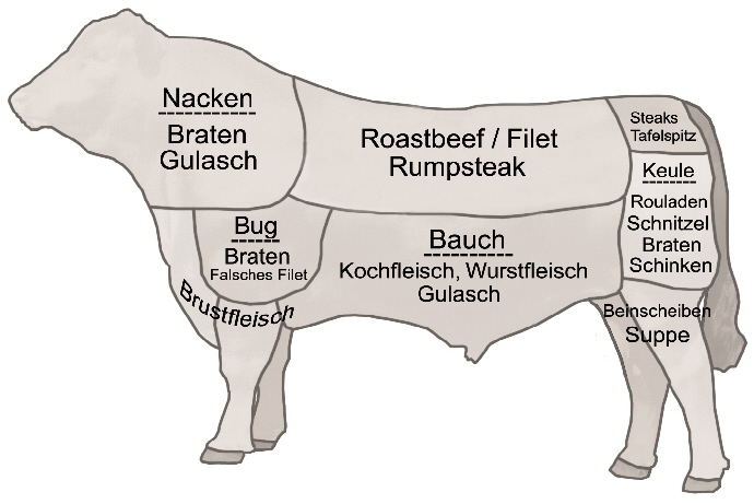 Schema neu m Text Kopie1